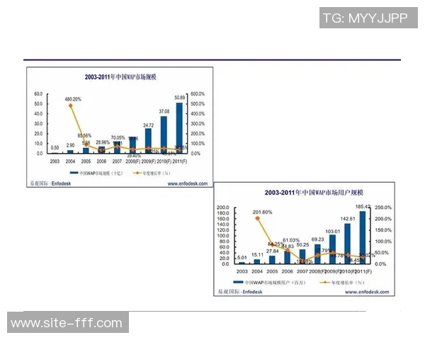 足球队队务工资管理现状与优化策略探讨分析